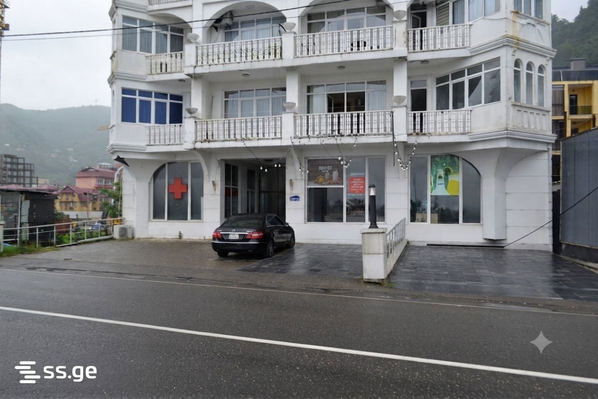 Commercial Space For Sale. Batumi view 5