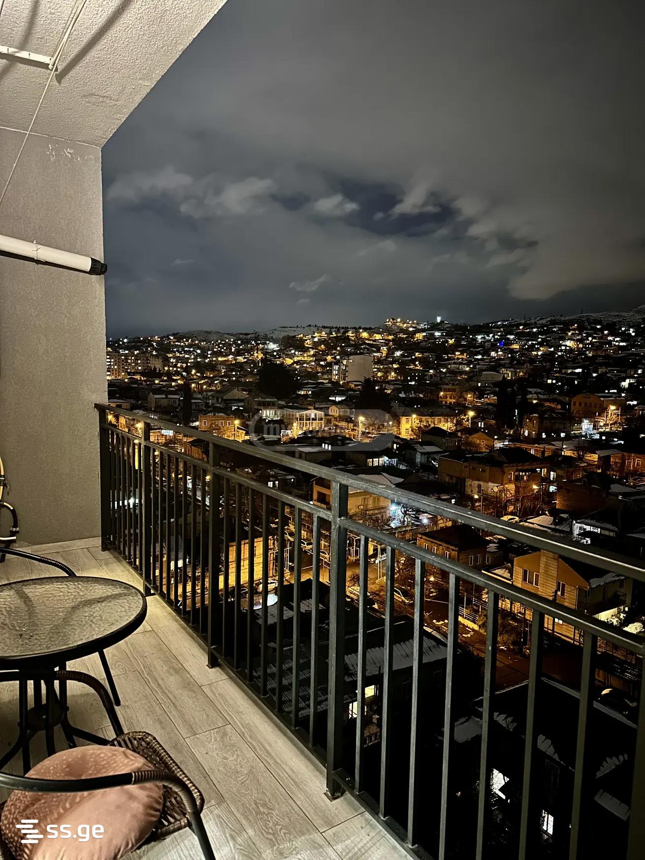 2 Room Flat Daily Rent. Nadzaladevi view 4