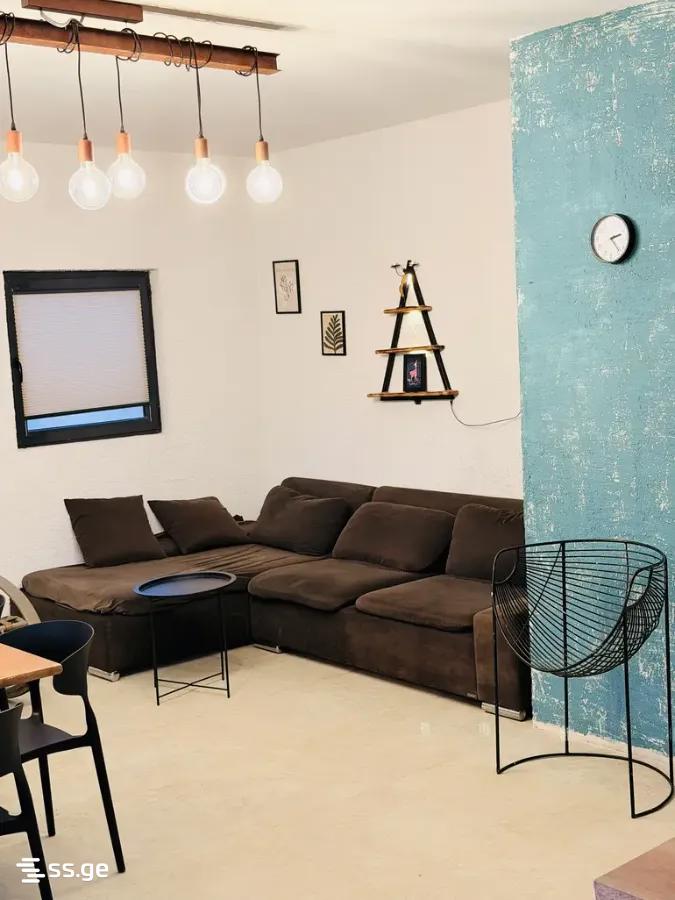 2 Room Private House Daily Rent. Krtsanisi view 6