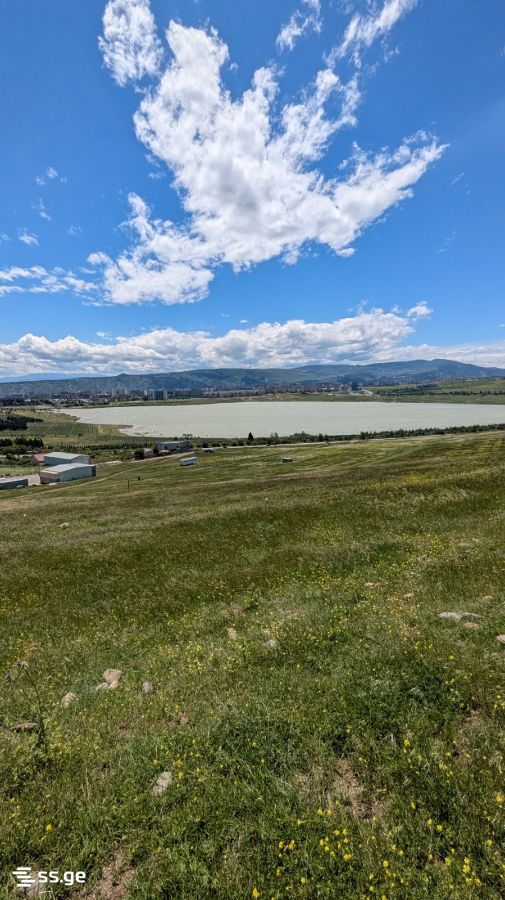 Land For Sale. Tbilisi Sea view 5