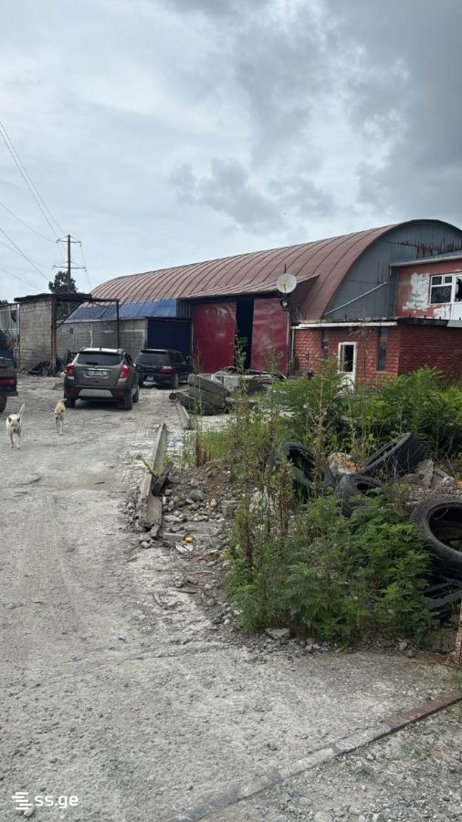 Store-Industrial Property For Sale. Batumi view 13