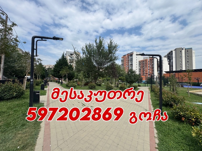 https://static.ss.ge/20260717/4_0dec5196-89d5-484a-a7c4-57fcaff508e1_Thumb.jpg