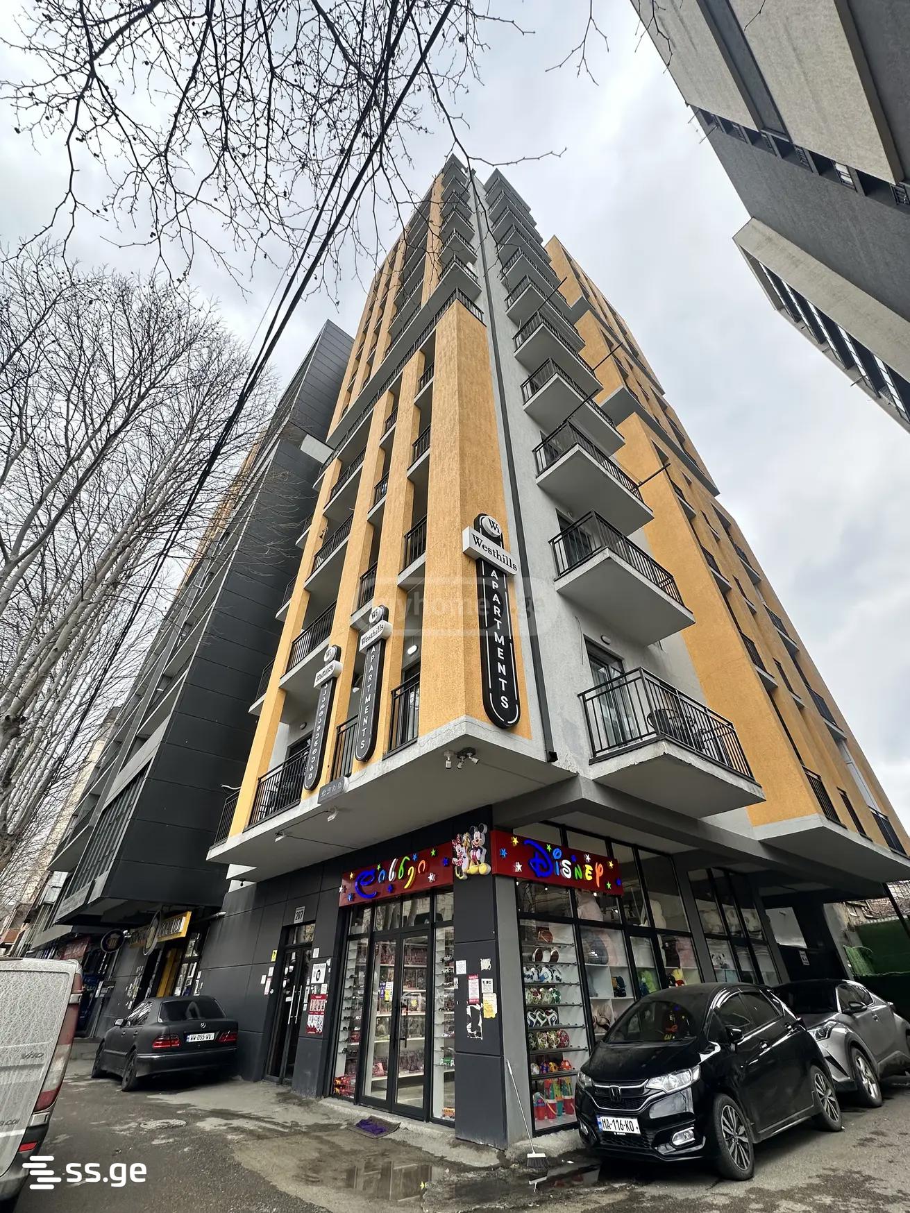 2 Room Flat Daily Rent. Nadzaladevi view 14