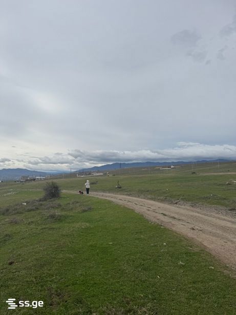 Land For Sale. Tbilisi Sea view 1