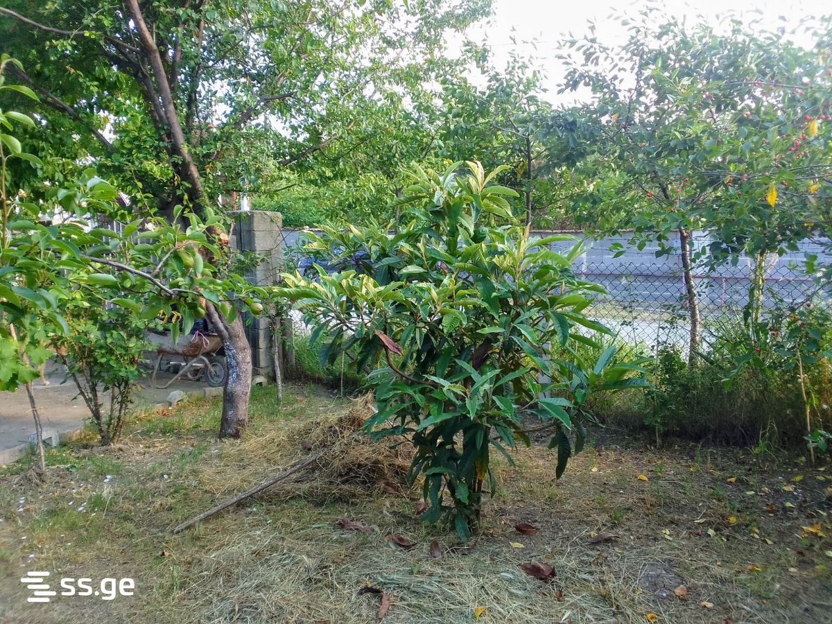 Продажа Summer Cottage в сагурамо view 5
