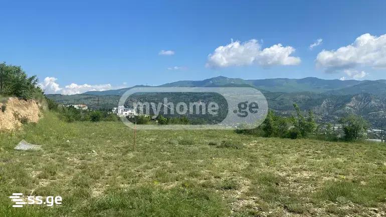 Land For Sale. Didi Digomi view 3