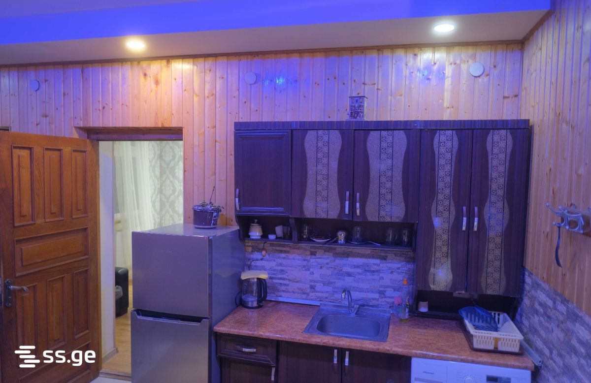 2 Room Private House For Rent. Vake view 11