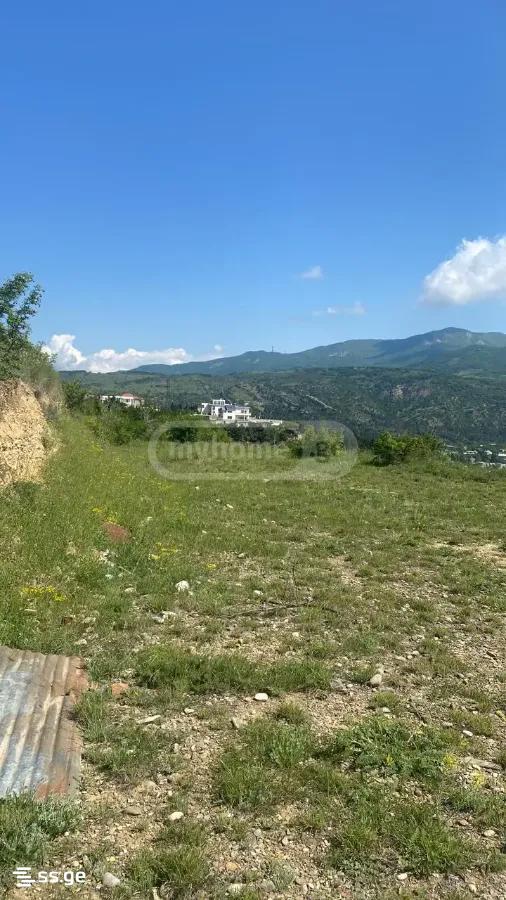 Land For Sale. Didi Digomi view 4