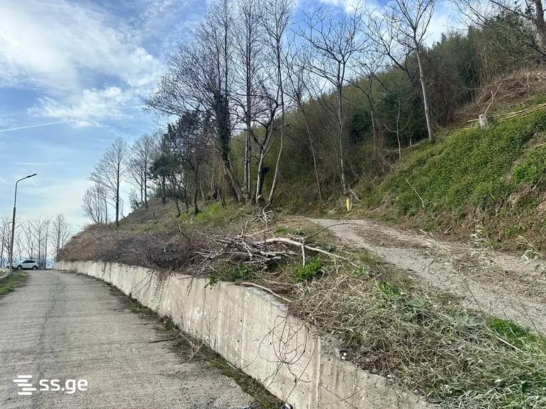 Land For Sale. Gonio view 10
