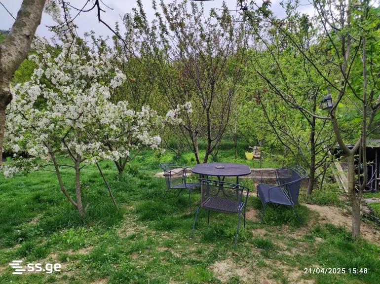 5 Room Private House For Rent. Saguramo view 3