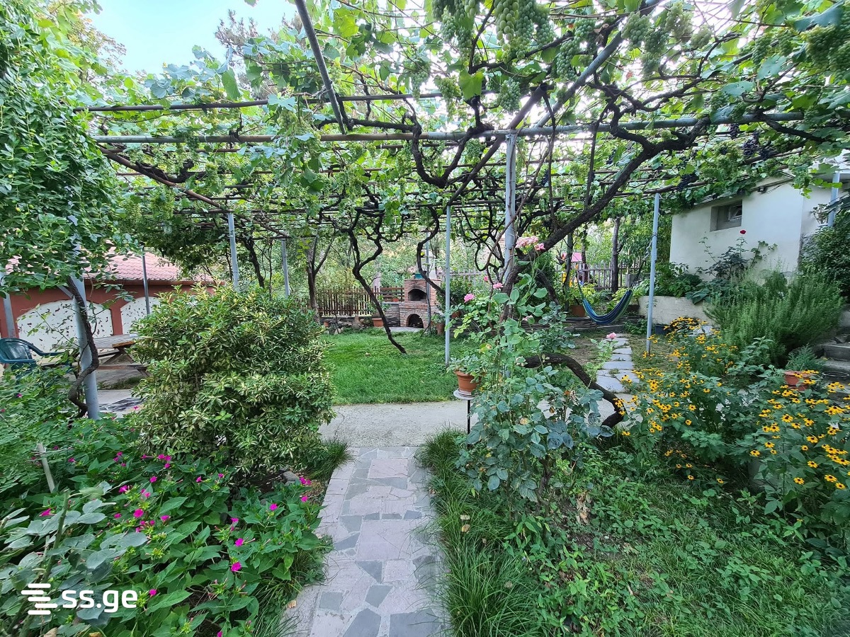 1 Room Flat For Rent. Mtskheta view 12