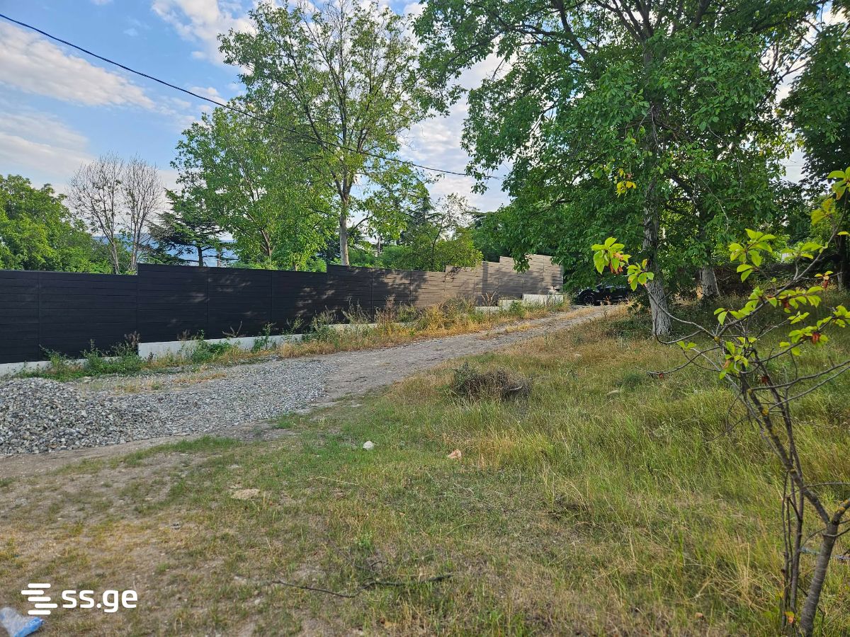 Land For Sale. Natakhtari view 3