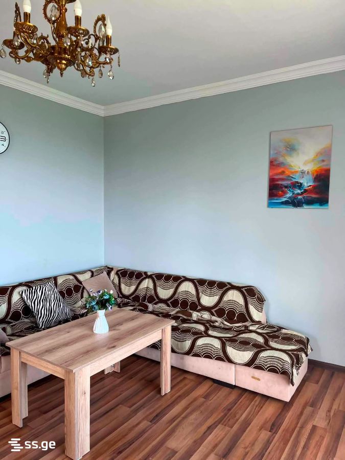 3 Room Private House For Rent. Makhindjauri view 13