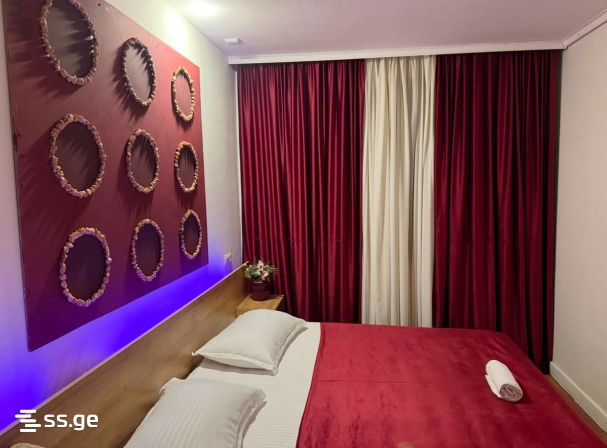 3 Room Private House Daily Rent. Rustavi view 7