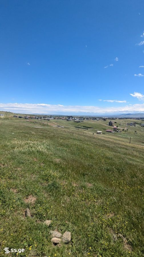 Land For Sale. Tbilisi Sea view 3