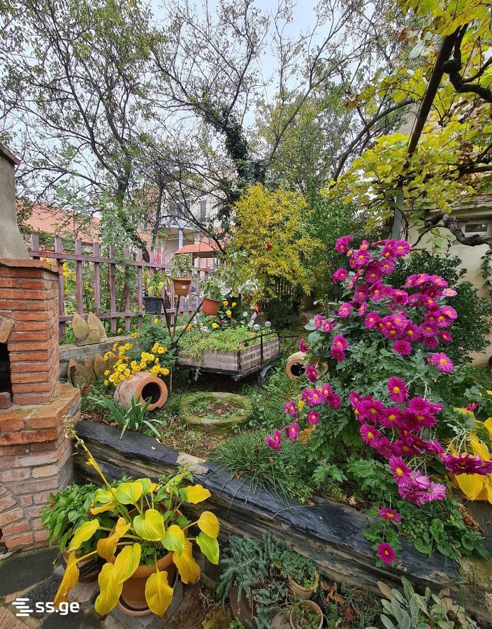 1 Room Flat For Rent. Mtskheta view 8