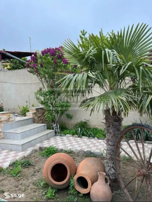 3 Room Private House Daily Rent. Gldani view 5