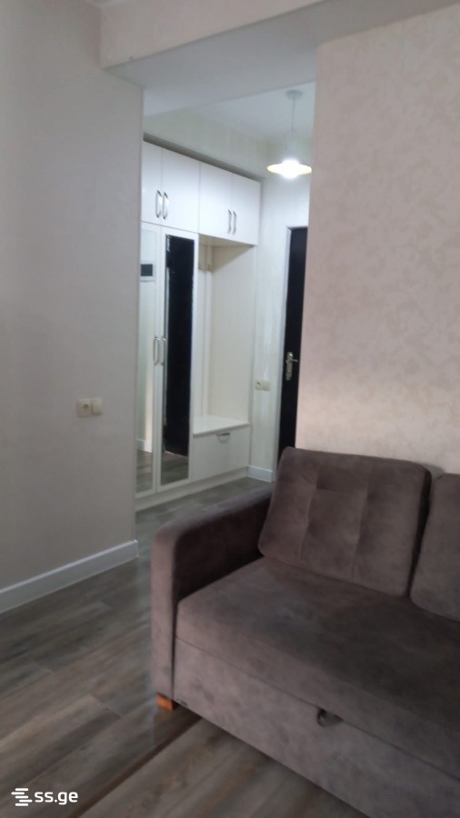 3 Room Flat For Rent. Rustavi view 4