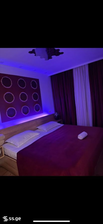 3 Room Private House Daily Rent. Rustavi view 8