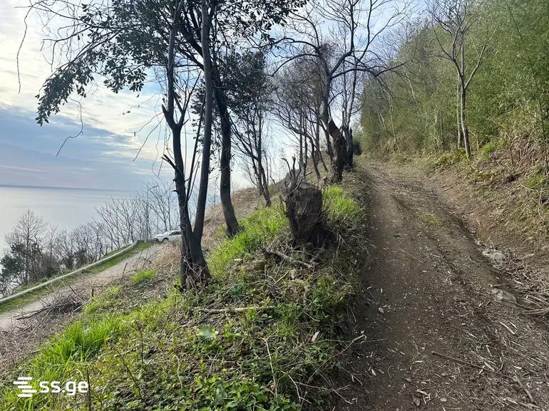 Land For Sale. Gonio view 8