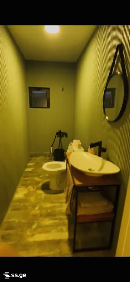 2 Room Private House Daily Rent. Krtsanisi view 7