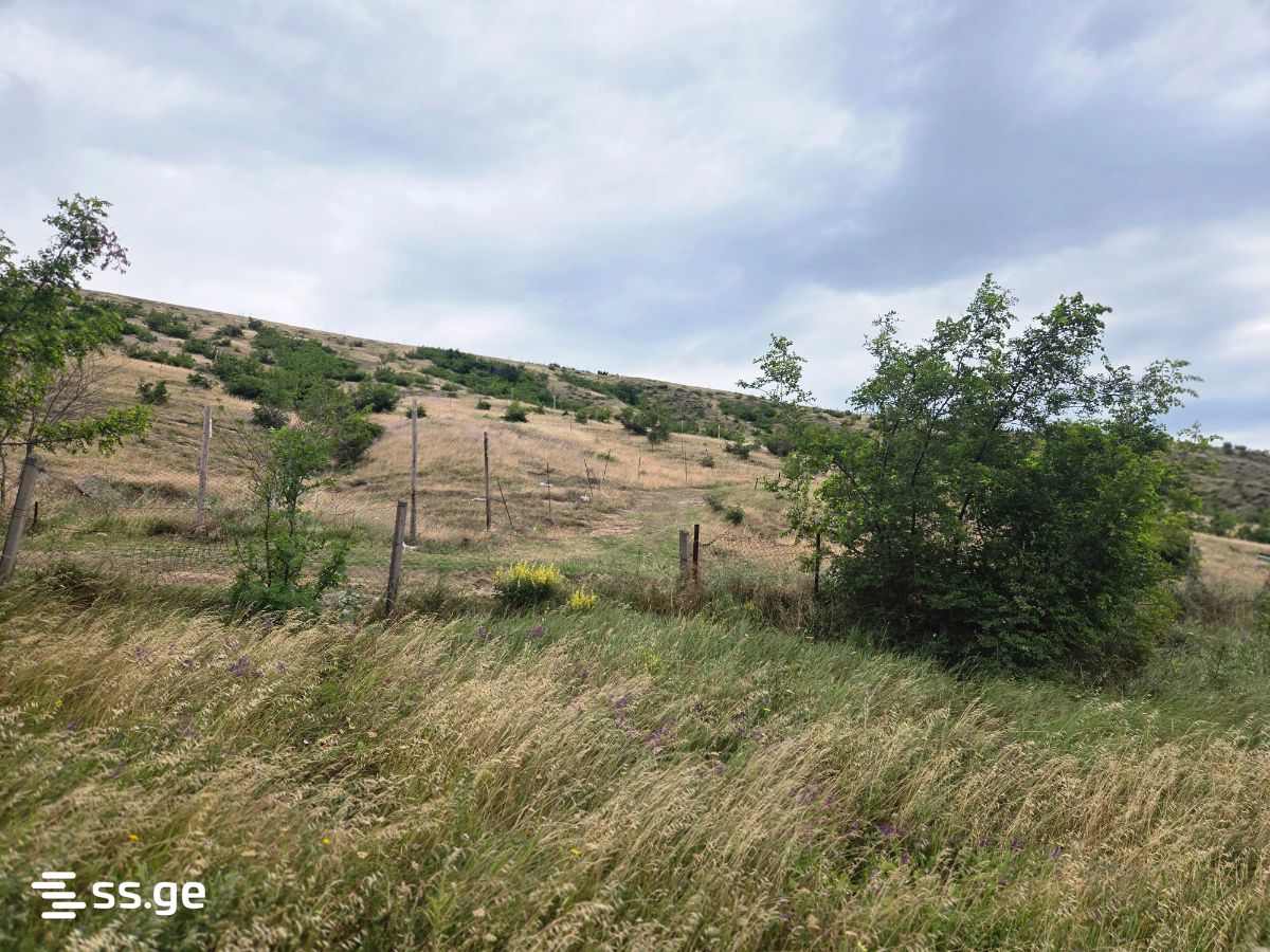 Land For Sale. Tsodoreti view 2