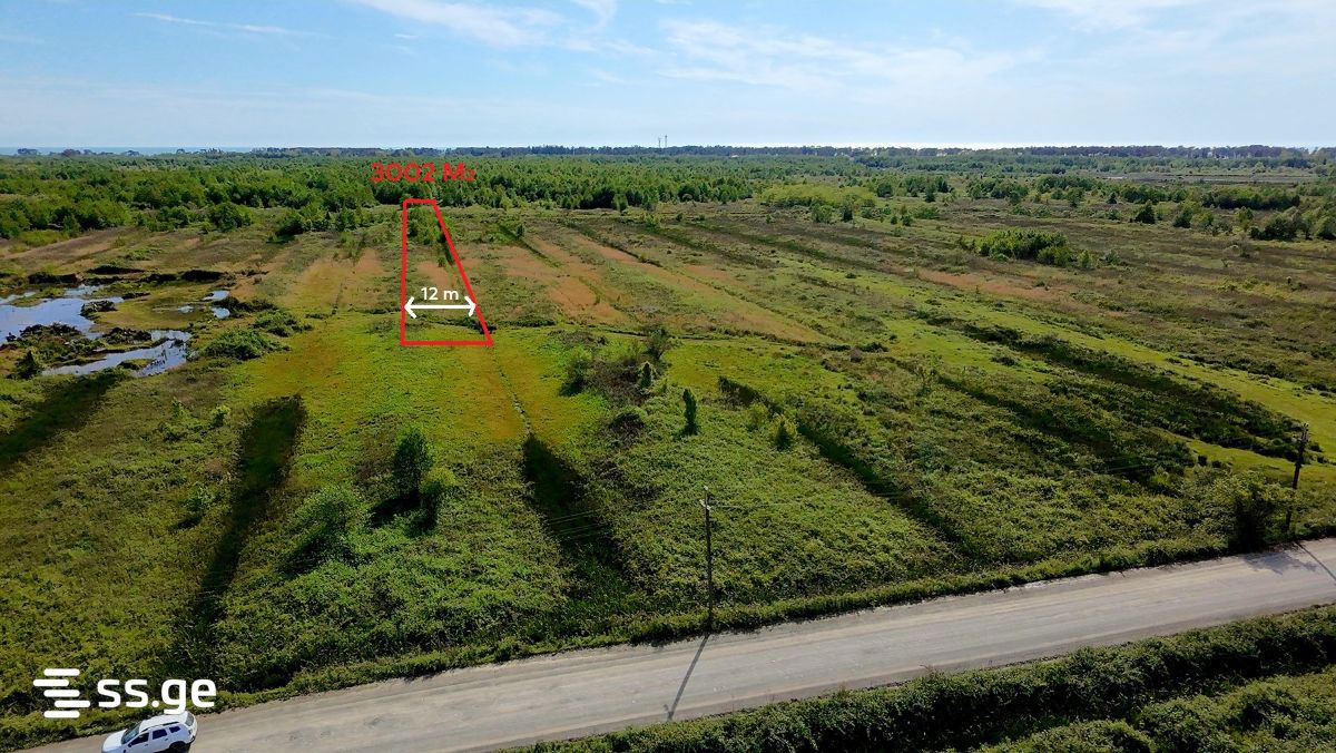 Продажа Земля / участок в Ozurgetshii view 7