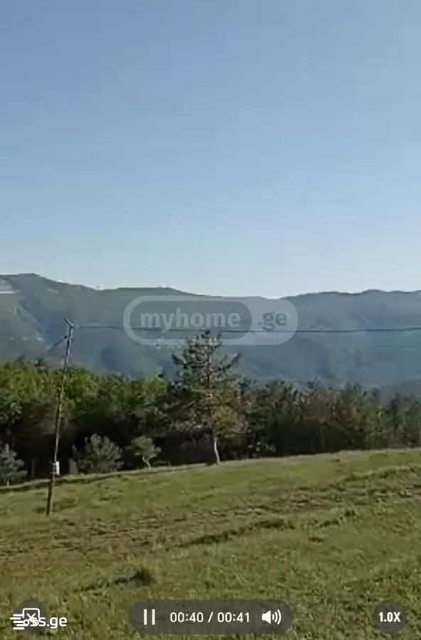 Продажа Земля в мухатцкаро view 4