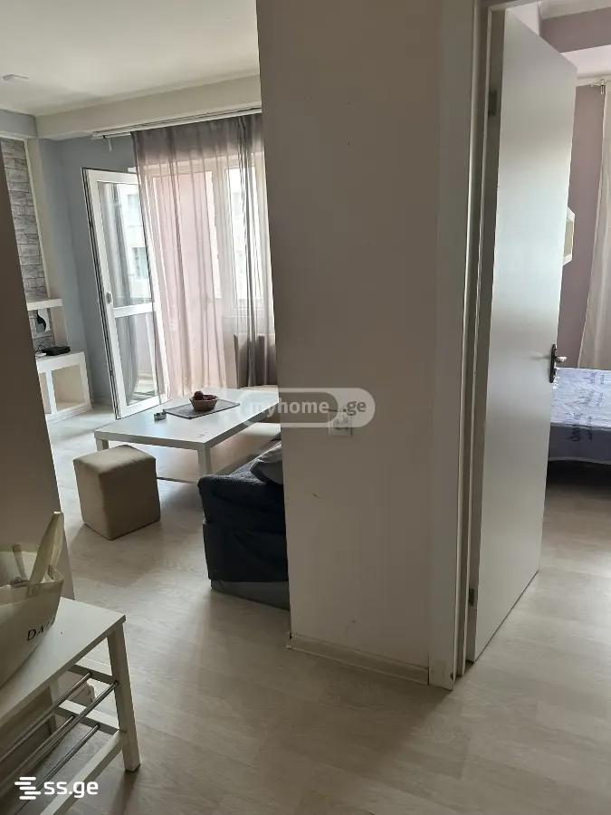 2 Room Flat For Rent. Mesame Masivi view 3