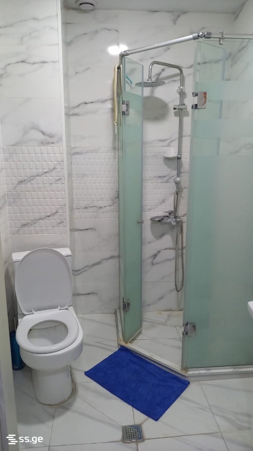 3 Room Flat For Rent. Rustavi view 9