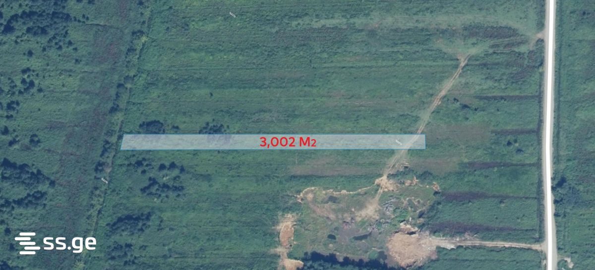 Продажа Земля / участок в Ozurgetshii view 11
