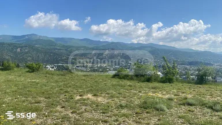 Land For Sale. Didi Digomi view 1