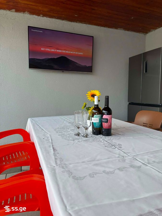 7 Room Private House Daily Rent. Saguramo view 9
