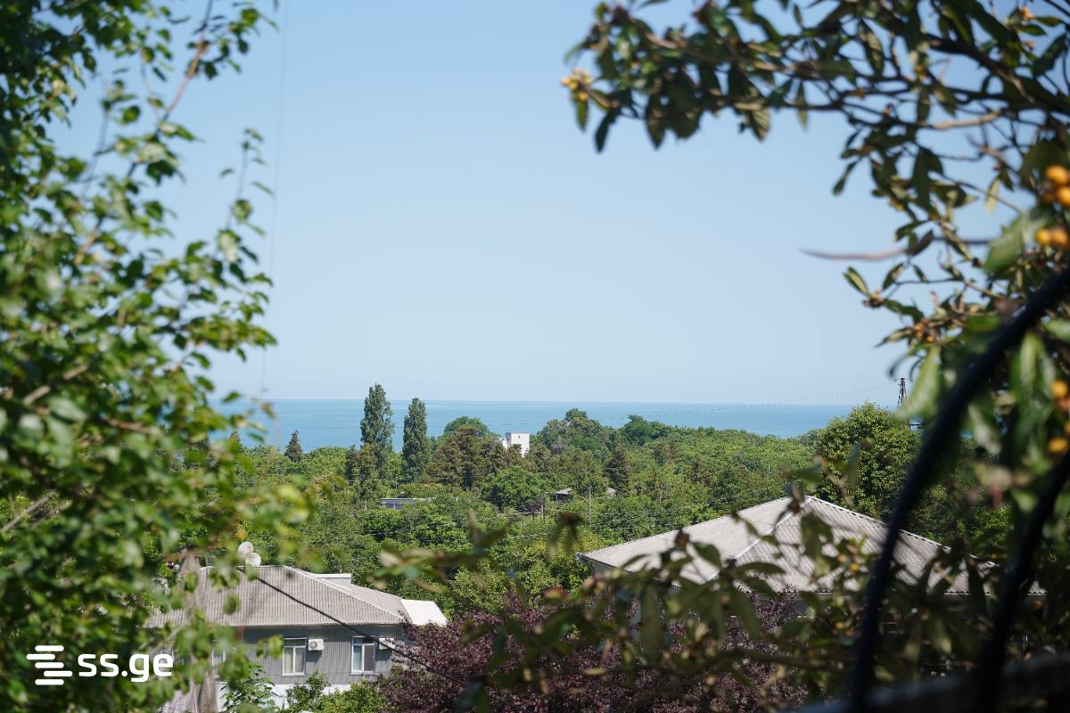 4 Room Summer Cottage Daily Rent. Tsikhisdziri view 8