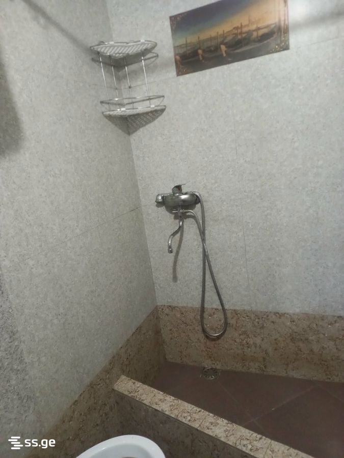 1 Room Private House For Rent. Gldani view 9