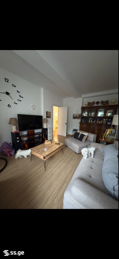2 Room Flat For Rent. Samgori view 3