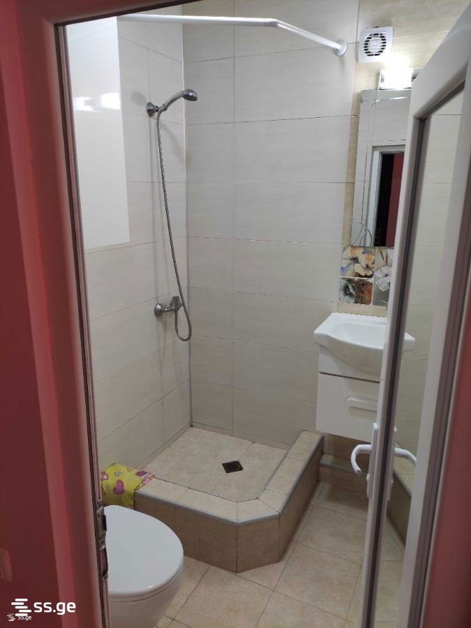 1 Room Flat For Rent. Kutaisi view 12