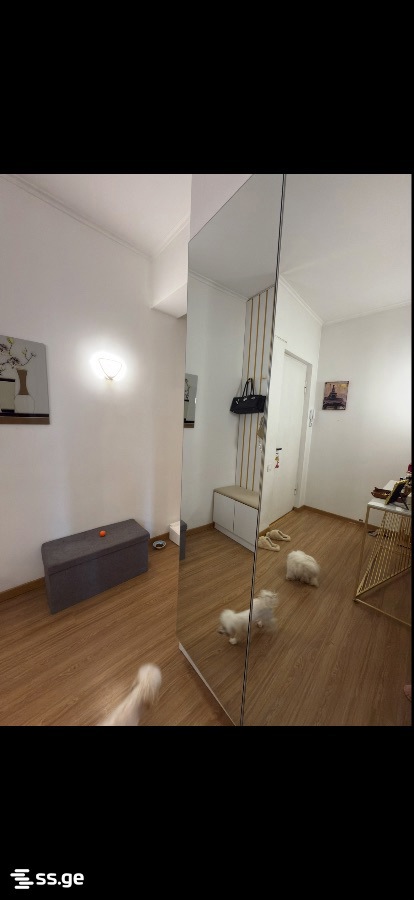 2 Room Flat For Rent. Samgori view 4