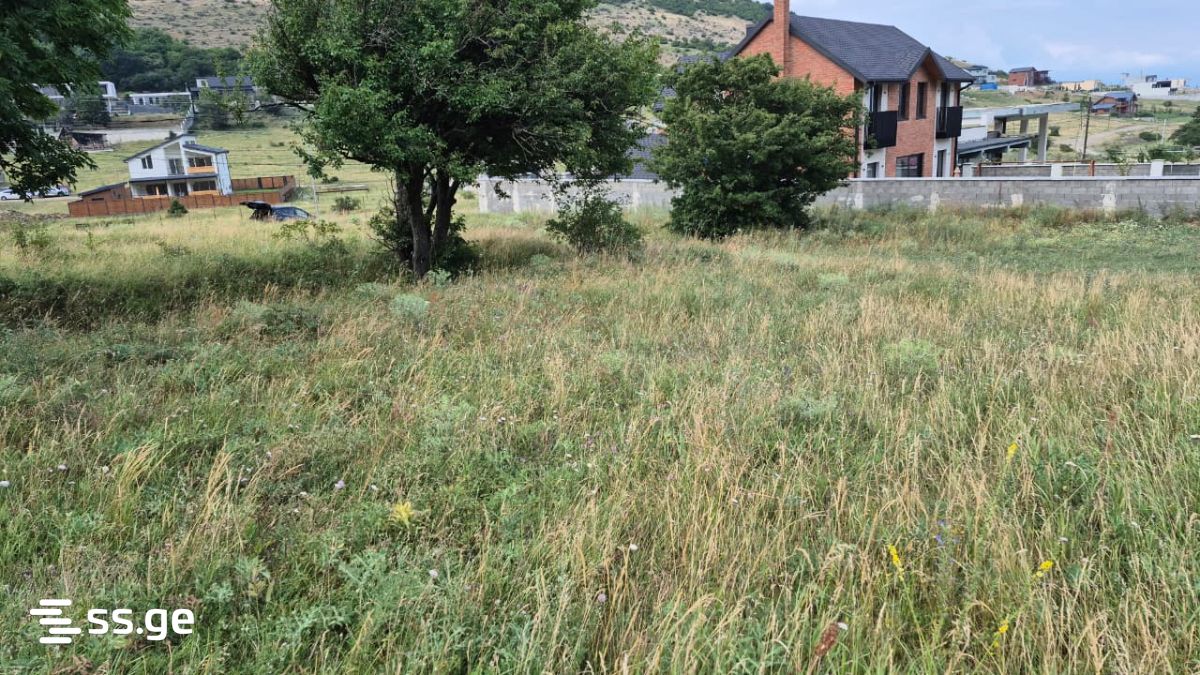 Land For Sale. Tsodoreti view 10