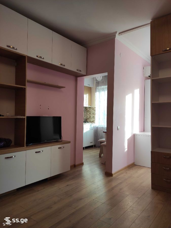 1 Room Flat For Rent. Kutaisi view 1