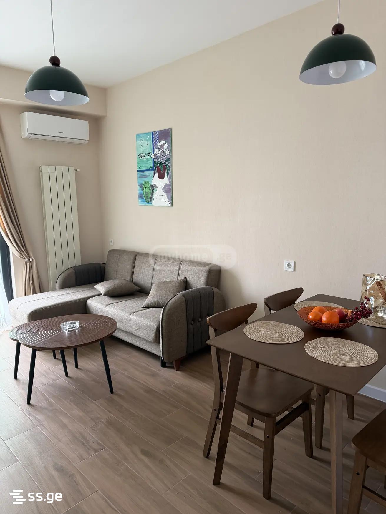 2 Room Flat For Rent. Samgori view 7
