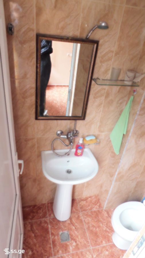 1 Room Flat Daily Rent. Batumi view 6