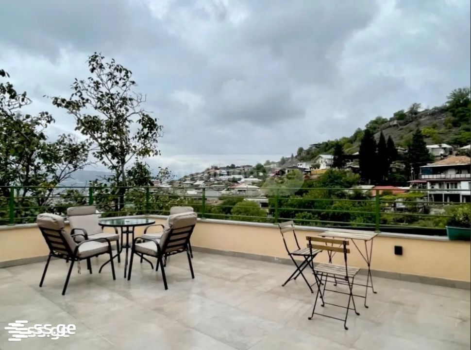 3 Room Private House Daily Rent. Nadzaladevi view 9