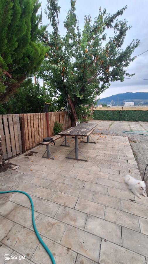 1 Room Private House For Rent. Natakhtari view 3