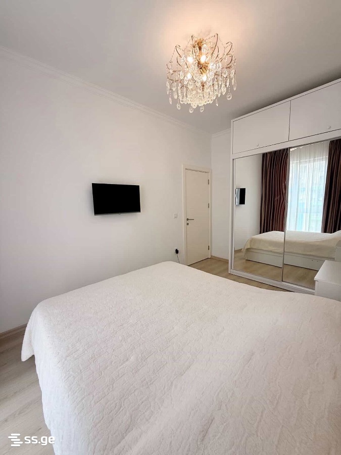 3 Room Flat For Rent. Digomi view 3