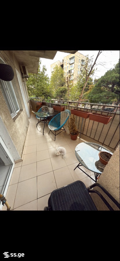 2 Room Flat For Rent. Samgori view 13