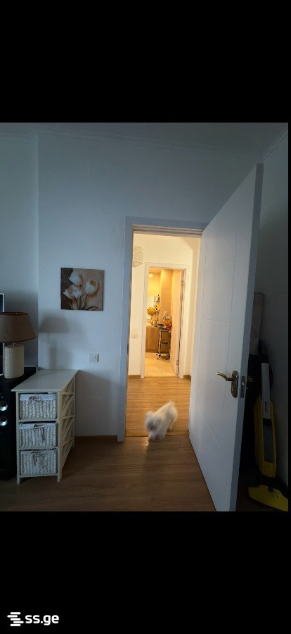 2 Room Flat For Rent. Samgori view 2