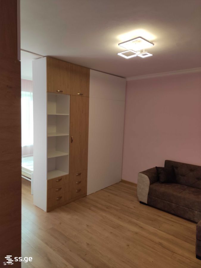 1 Room Flat For Rent. Kutaisi view 3