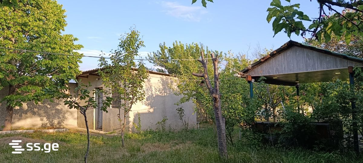 იყიდება 3-ოთახი Summer Cottage view 14