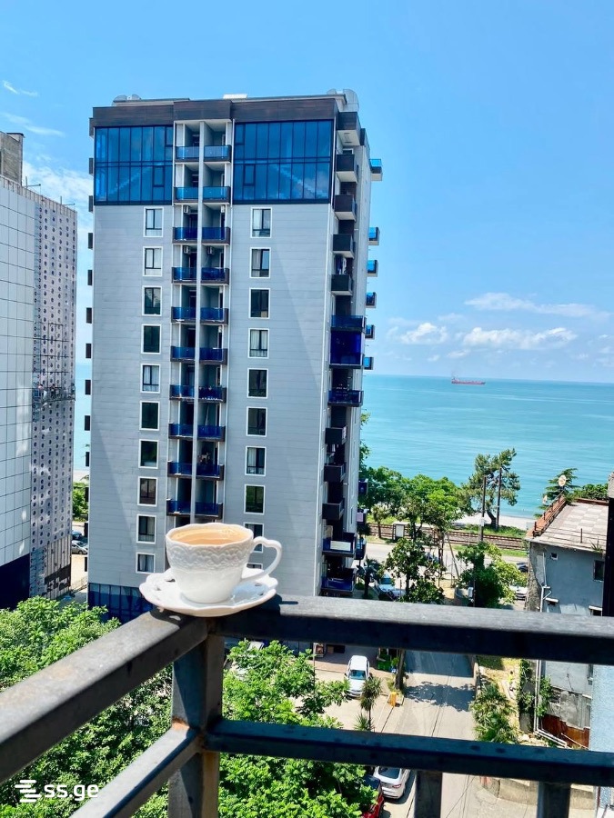 2 Room Flat For Rent. Makhindjauri view 6